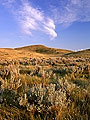 Saskatchewan Landing Provincial Park