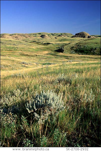 Badlands, Grasslands National Park, Saskatchewan