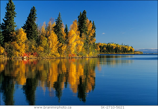 Autumn trees reflecting in lake, Smoothstone Lake