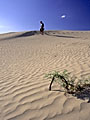 Great Sand Hills, Saskatchewan