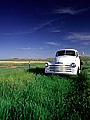 abandoned truck in a field, Saskatchewan