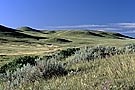Grasslands National Park, West Block