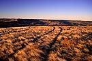 Cypress Hills, Saskatchewan