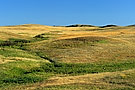 Prairie landscape, Theodore Roosevelt National Park