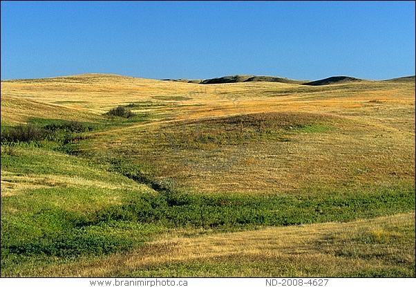 Prairie landscape, Theodore Roosevelt NP