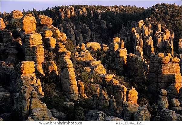 Heart of Rocks at sunset, Chiricahua Natl. Monument