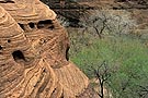 Canyon de Chelly National Monument, Arizona