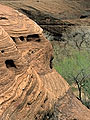 rock cliff detail,  Canyon de Chelly, Arizona