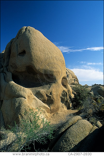 Skull Rock, Joshua Tree National Park, California