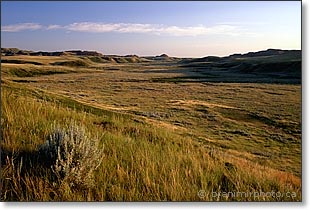 Grasslands NP in warm evening light