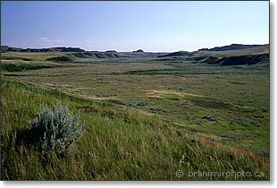 Grasslands NP in afternoon light