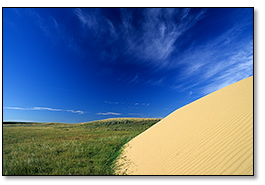 sand dune in Great Sand Hills