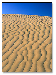 pattern in sand, Great Sand Hills, Saskatchewan