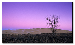 sunrise in Great Sand Hills, Saskatchewan